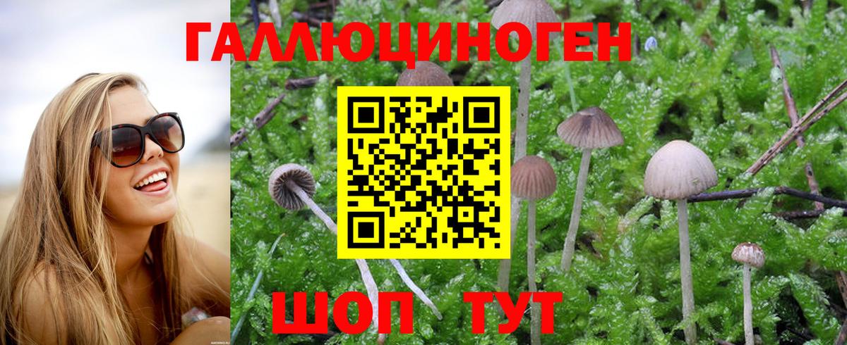 Псилоцибиновые грибы MAGIC MUSHROOMS Гуково